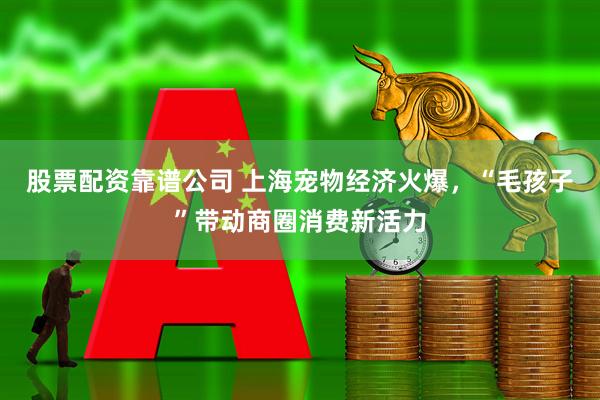 股票配资靠谱公司 上海宠物经济火爆，“毛孩子”带动商圈消费新活力